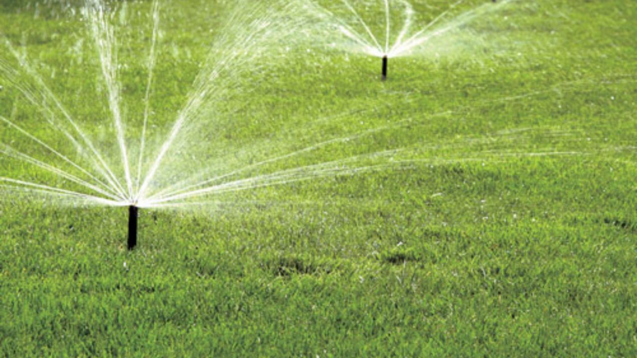 Rain is more beneficial than tap water